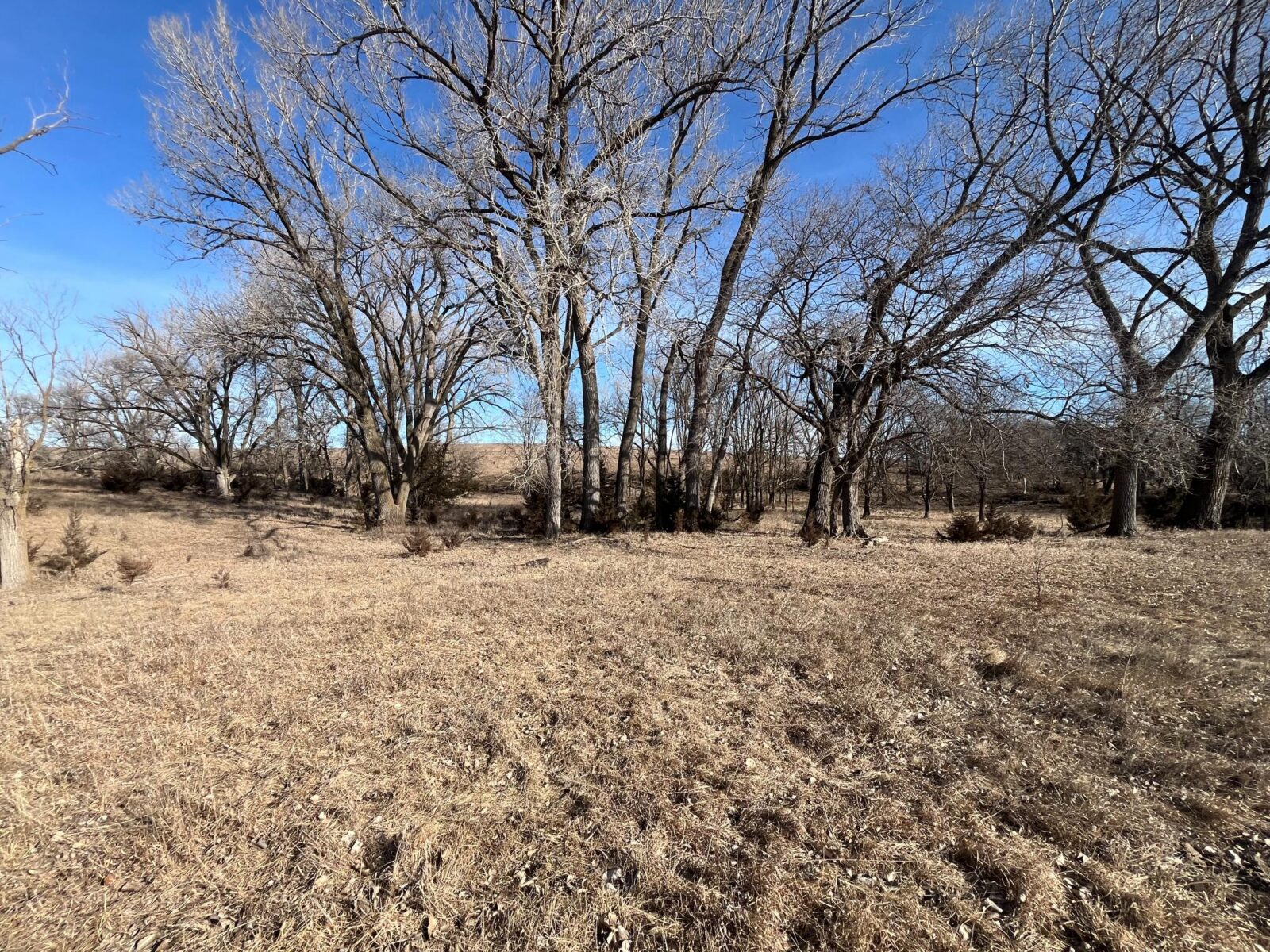 Butler County Nebraska land for sale