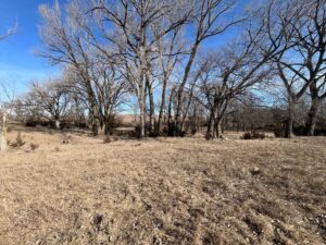 Butler County Nebraska land for sale