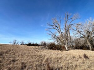 Butler County Nebraska land for sale