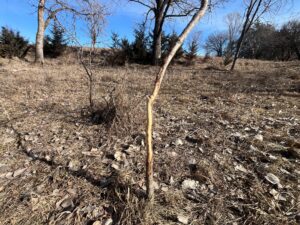 Butler County Nebraska land for sale