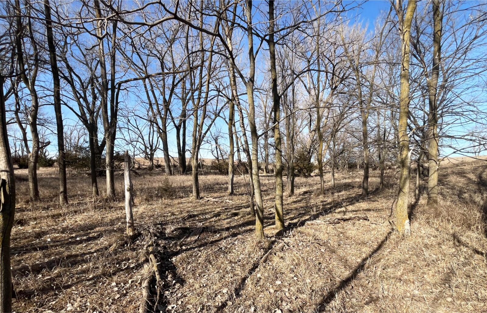 Butler County Nebraska land for sale