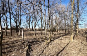 Butler County Nebraska land for sale
