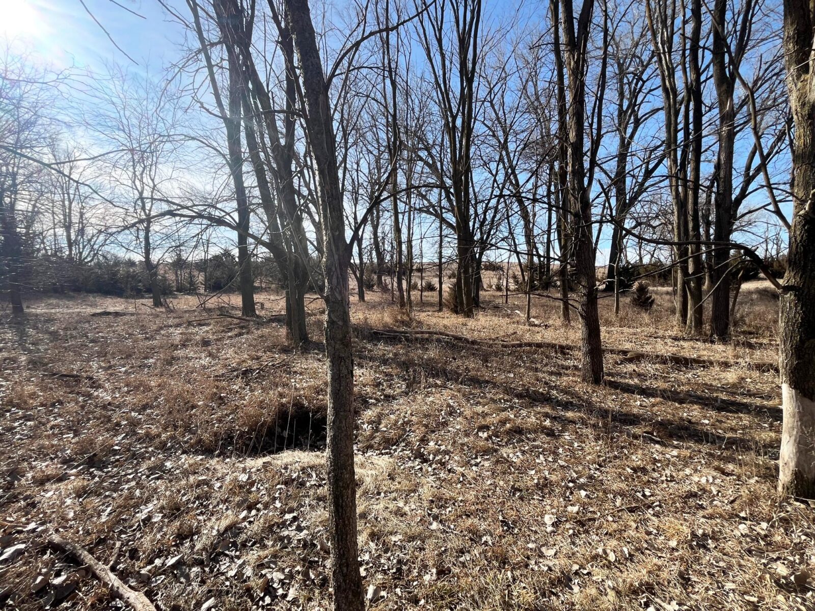 Butler County Nebraska land for sale