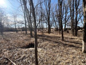 Butler County Nebraska land for sale