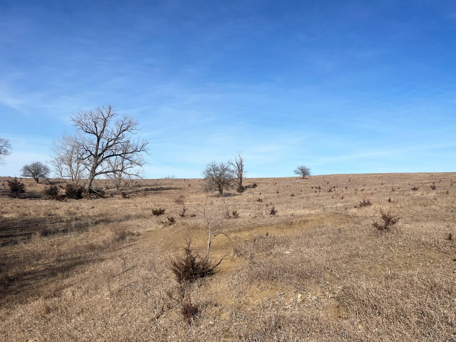 Butler County Nebraska land for sale