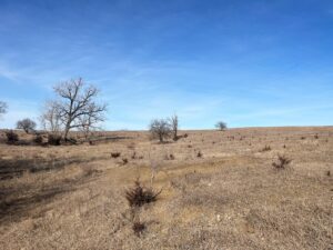 Butler County Nebraska land for sale