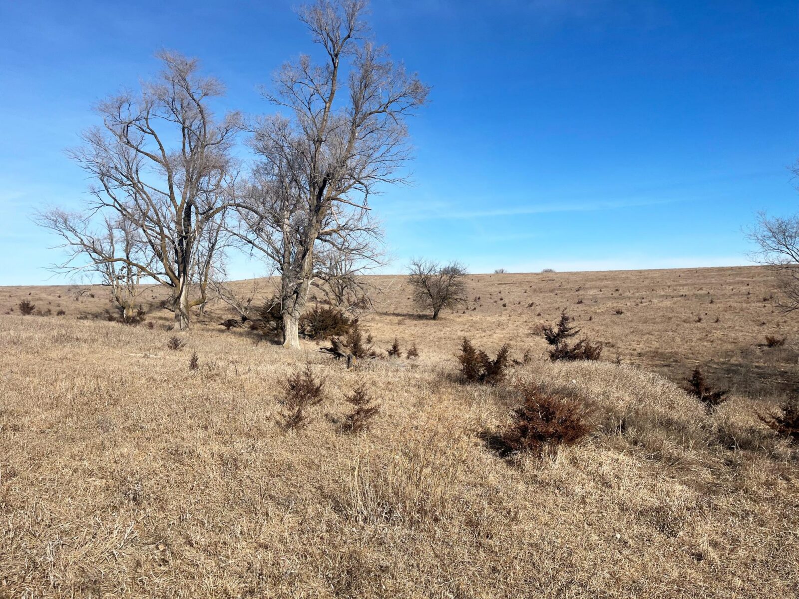 Butler County Nebraska land for sale