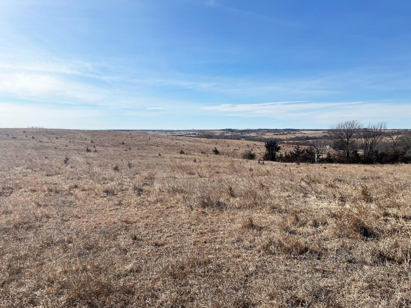 Butler County Nebraska land for sale