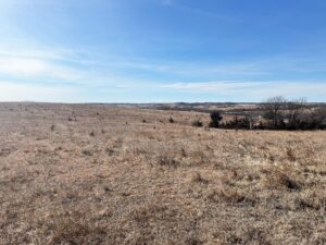 Butler County Nebraska land for sale