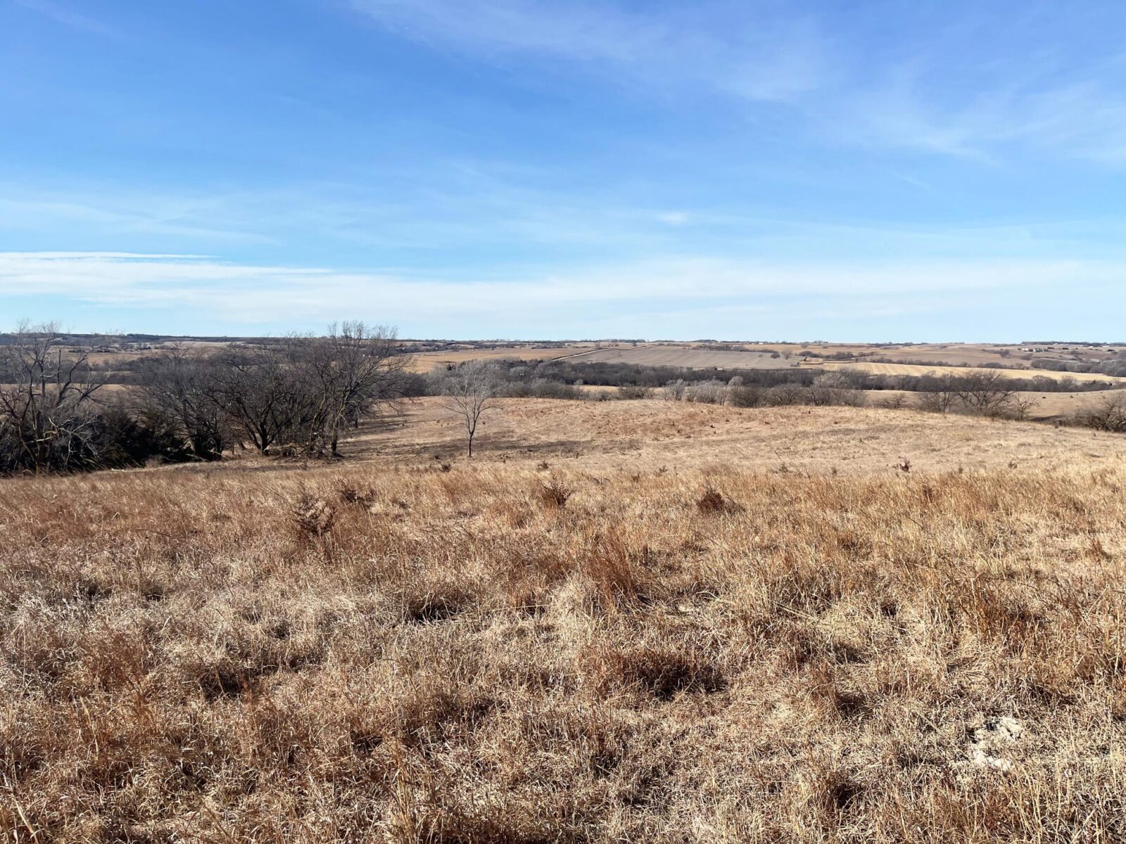 Butler County Nebraska land for sale