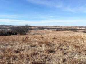 Butler County Nebraska land for sale