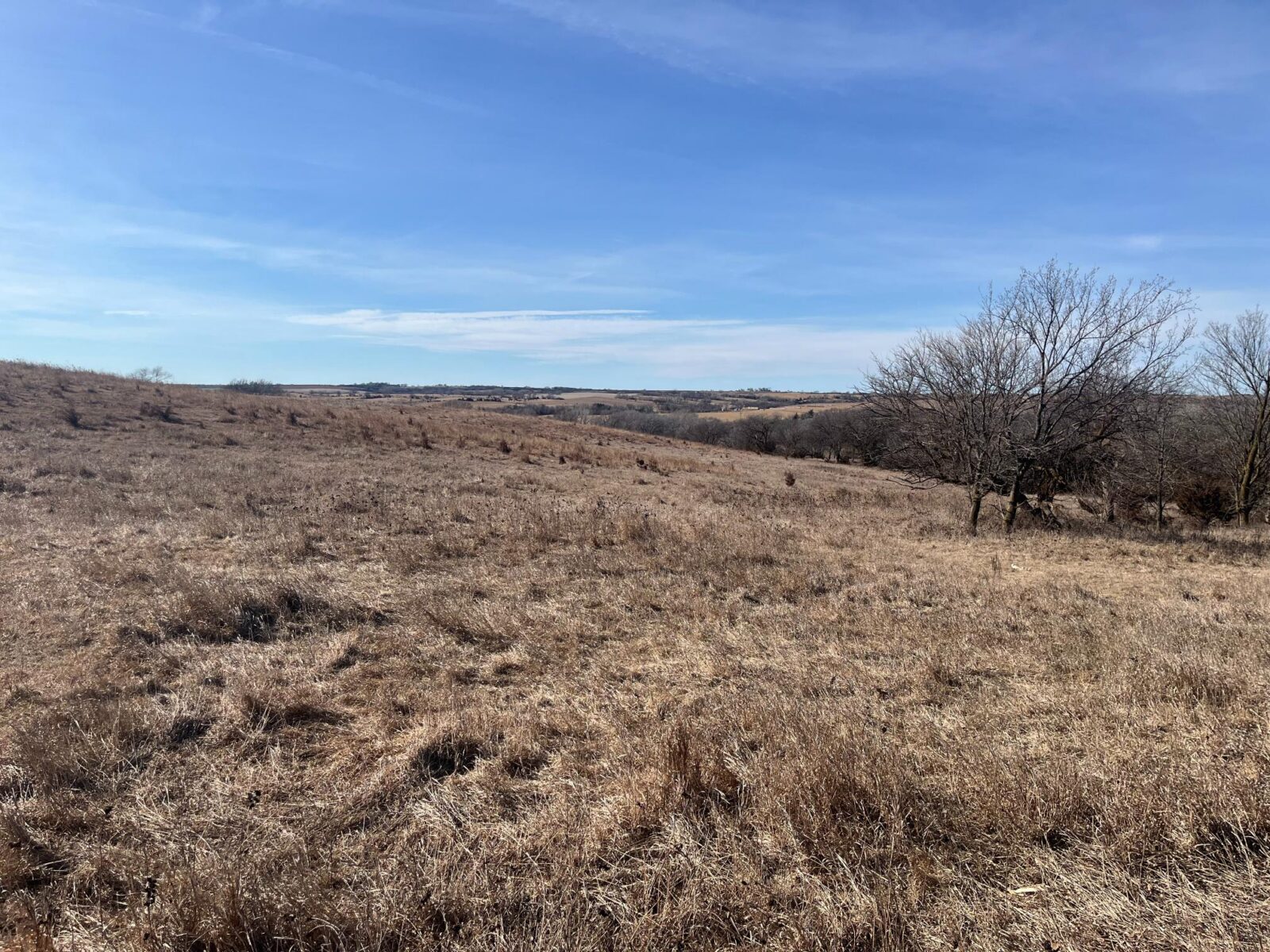 Butler County Nebraska land for sale