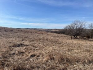 Butler County Nebraska land for sale