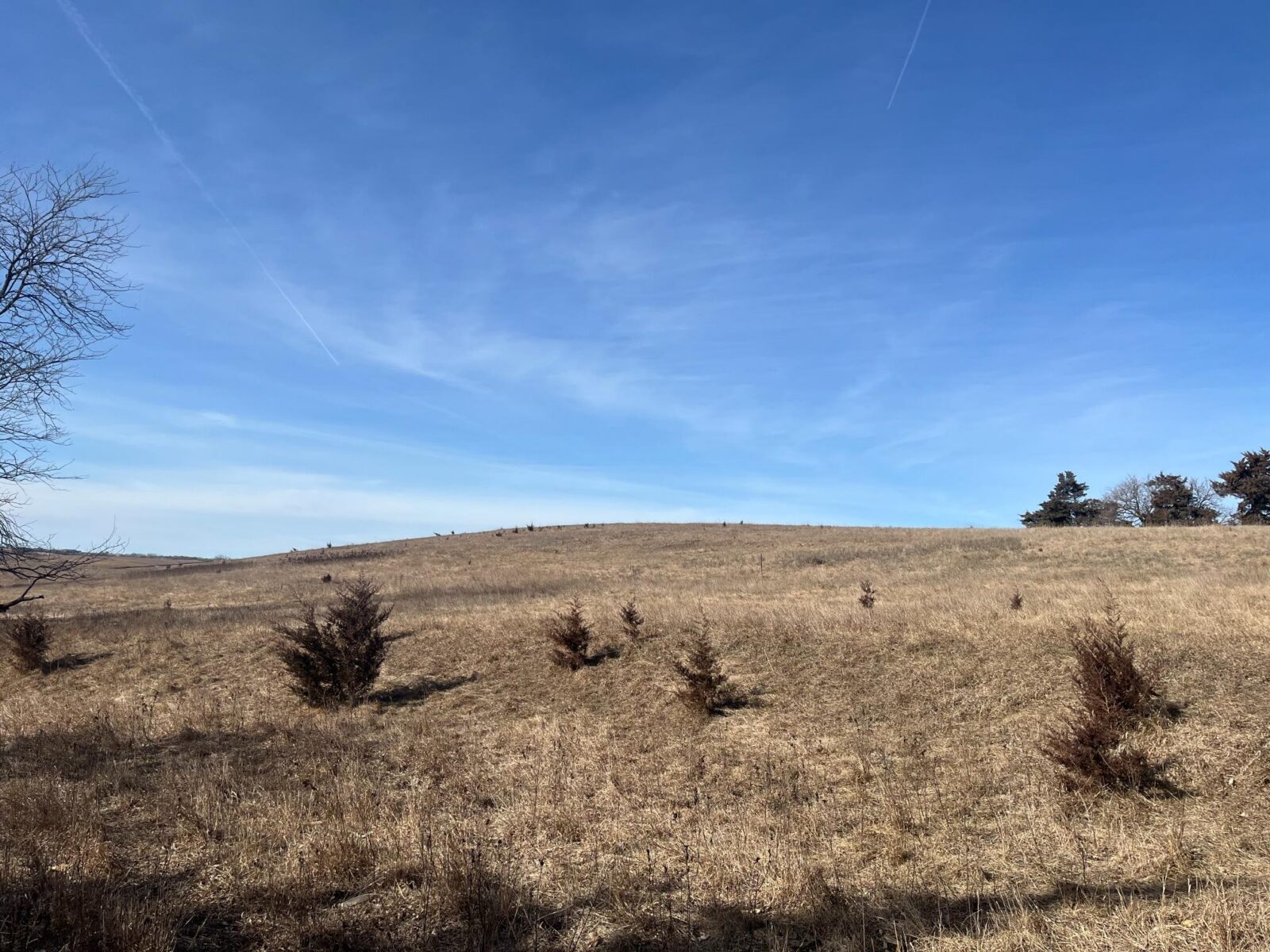 Butler County Nebraska land for sale