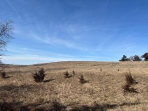 Butler County Nebraska land for sale