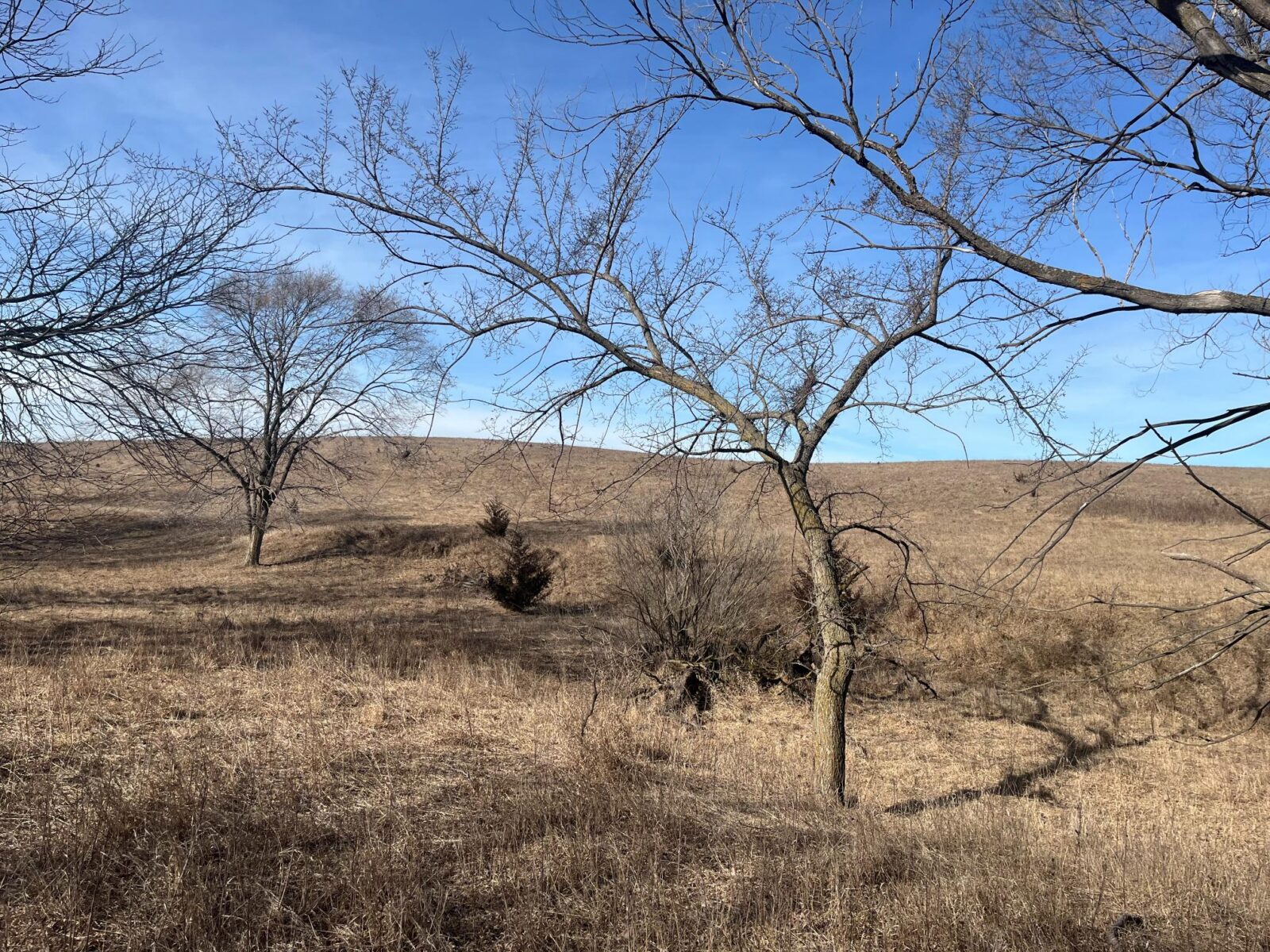 Butler County Nebraska land for sale