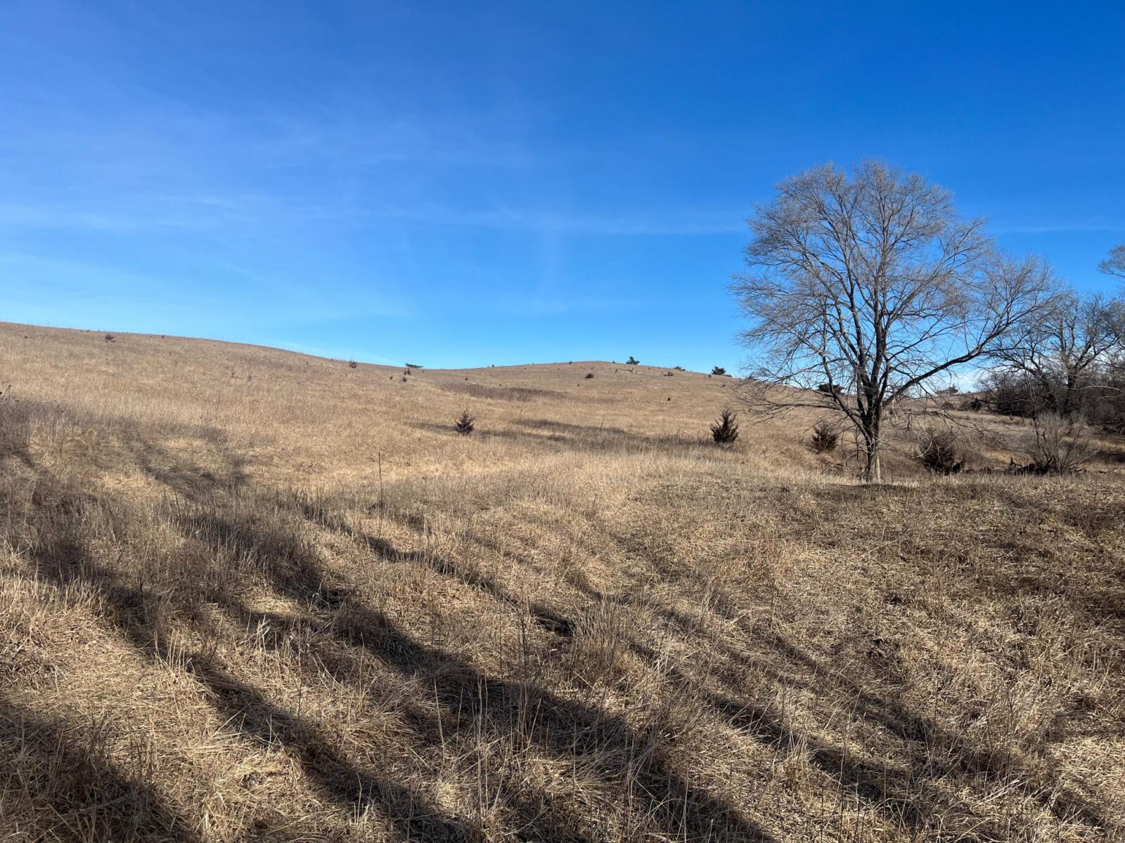 Butler County Nebraska land for sale