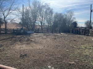 Butler County Nebraska land for sale