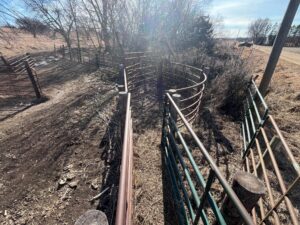 Butler County Nebraska land for sale