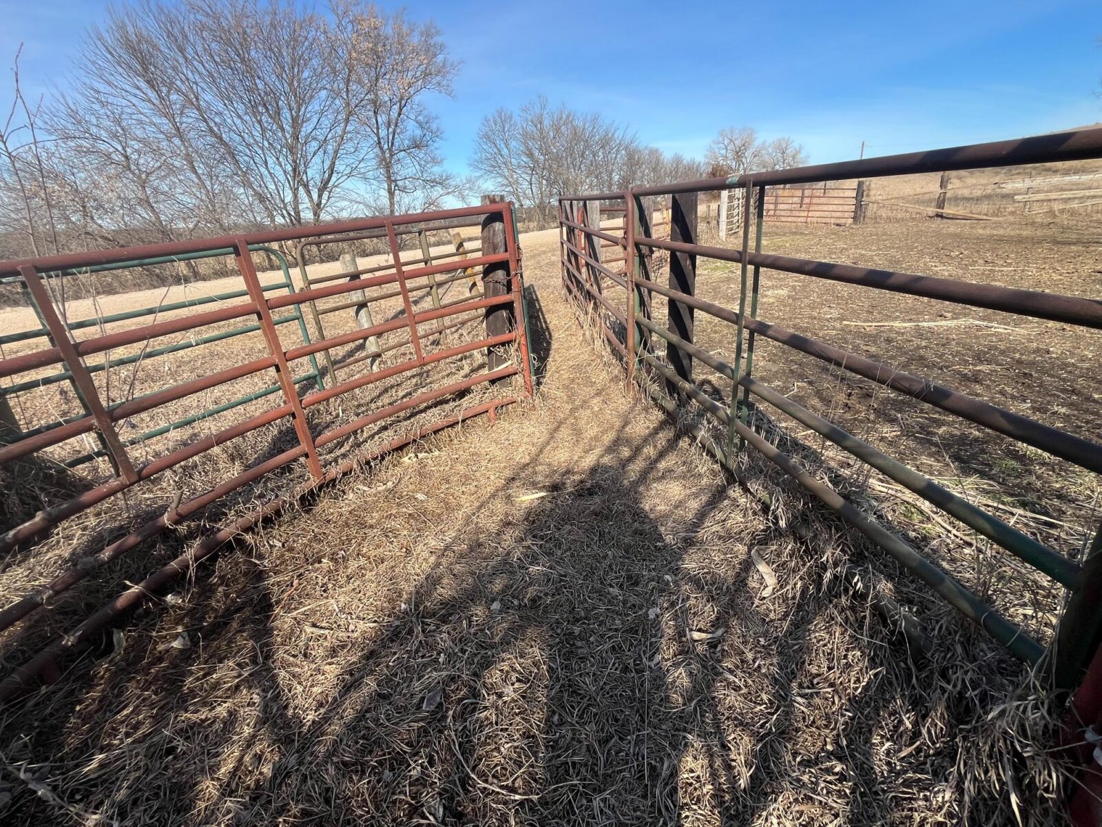 Butler County Nebraska land for sale