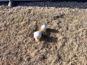 1 Lakeshore East, Lake McConaughy home for sale