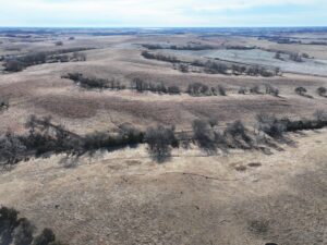 Butler County Nebraska land for sale