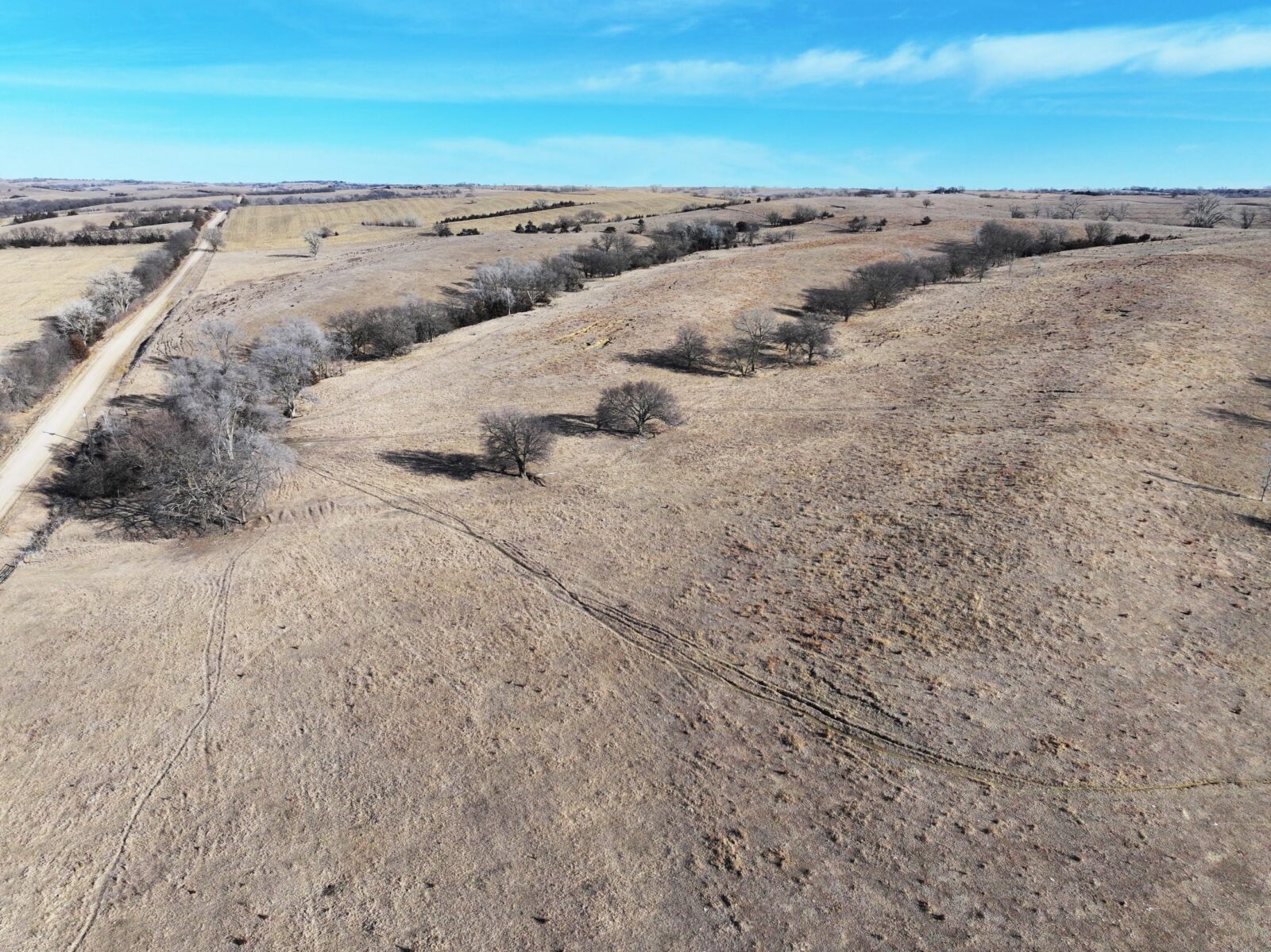 Butler County Nebraska land for sale