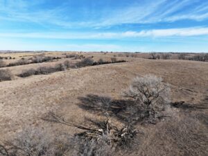 Butler County Nebraska land for sale
