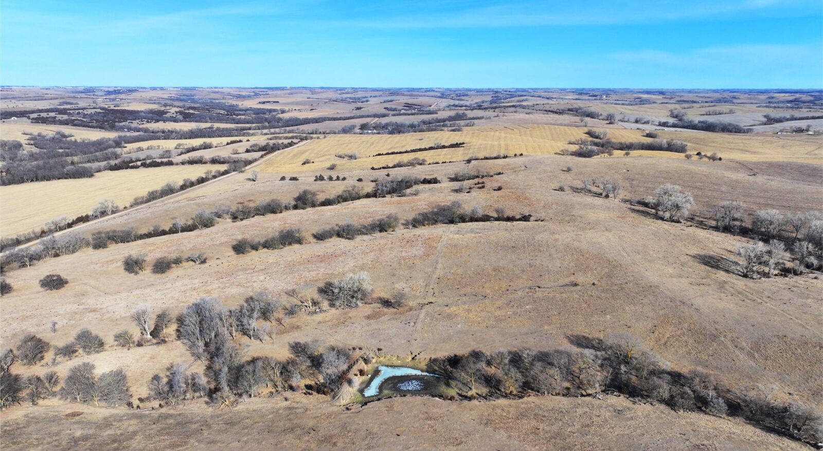 Butler County Nebraska land for sale