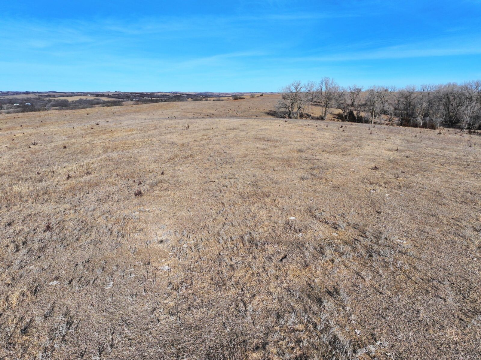 Butler County Nebraska land for sale