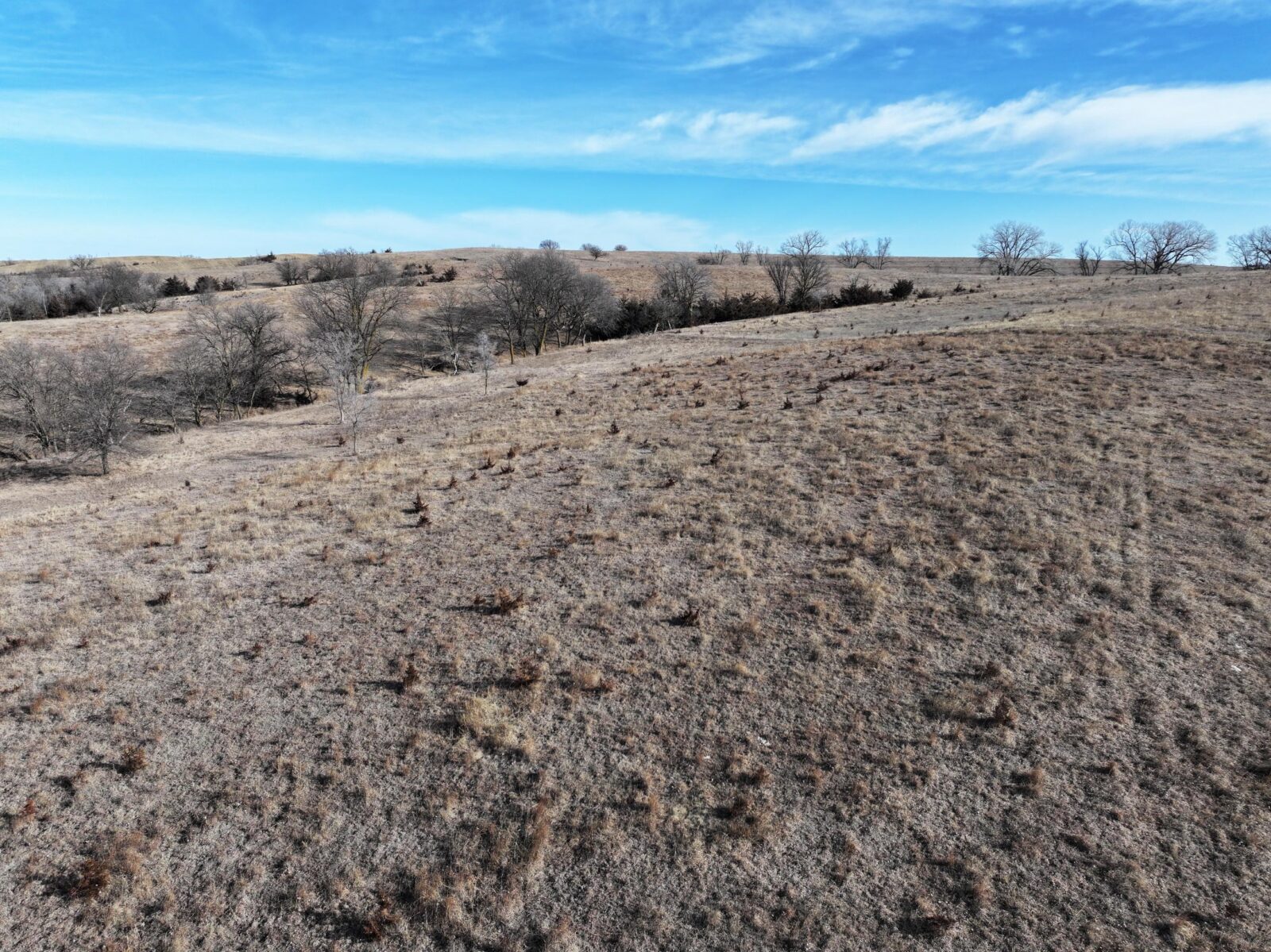 Butler County Nebraska land for sale