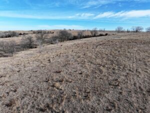 Butler County Nebraska land for sale