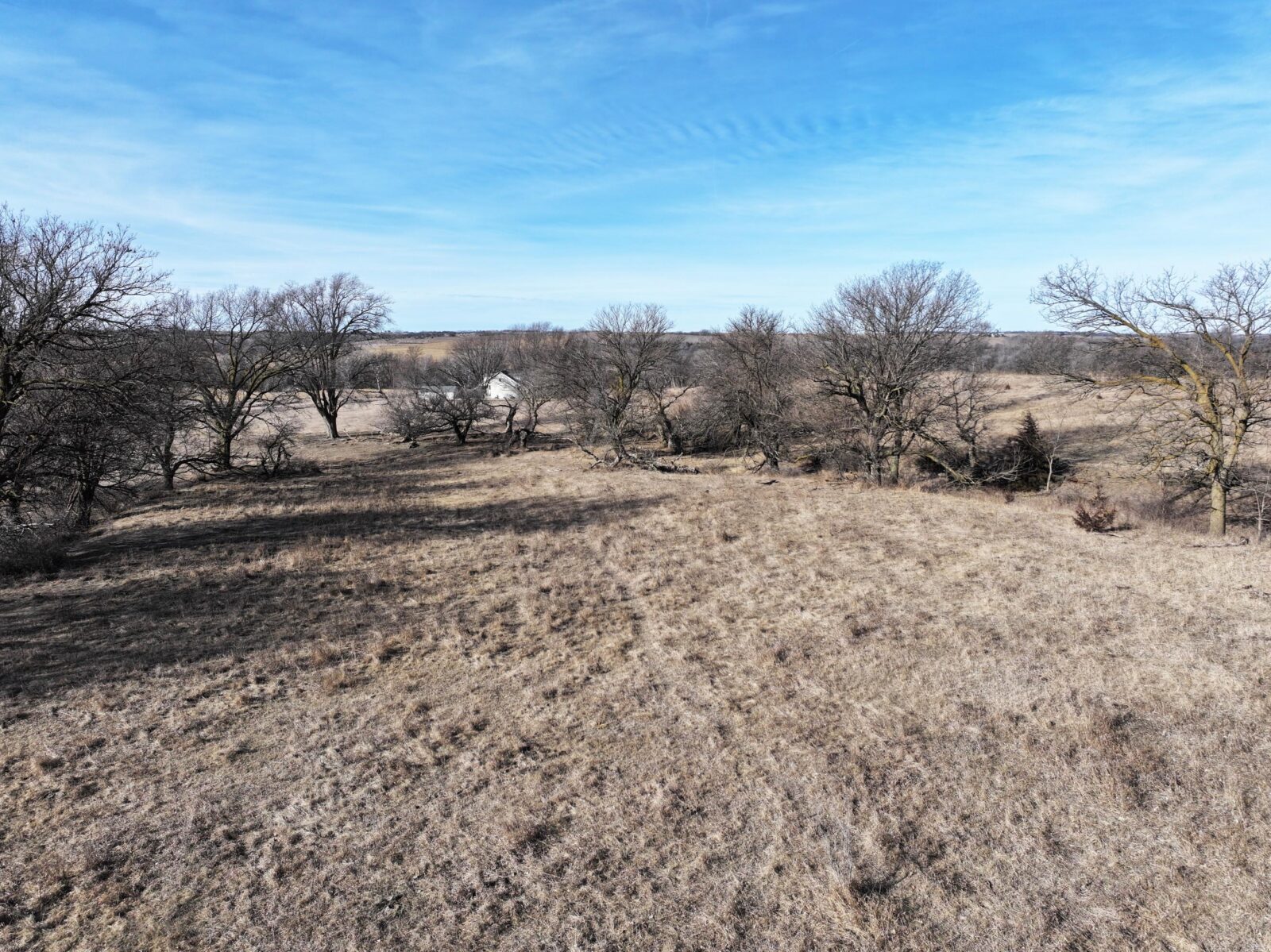 Butler County Nebraska land for sale