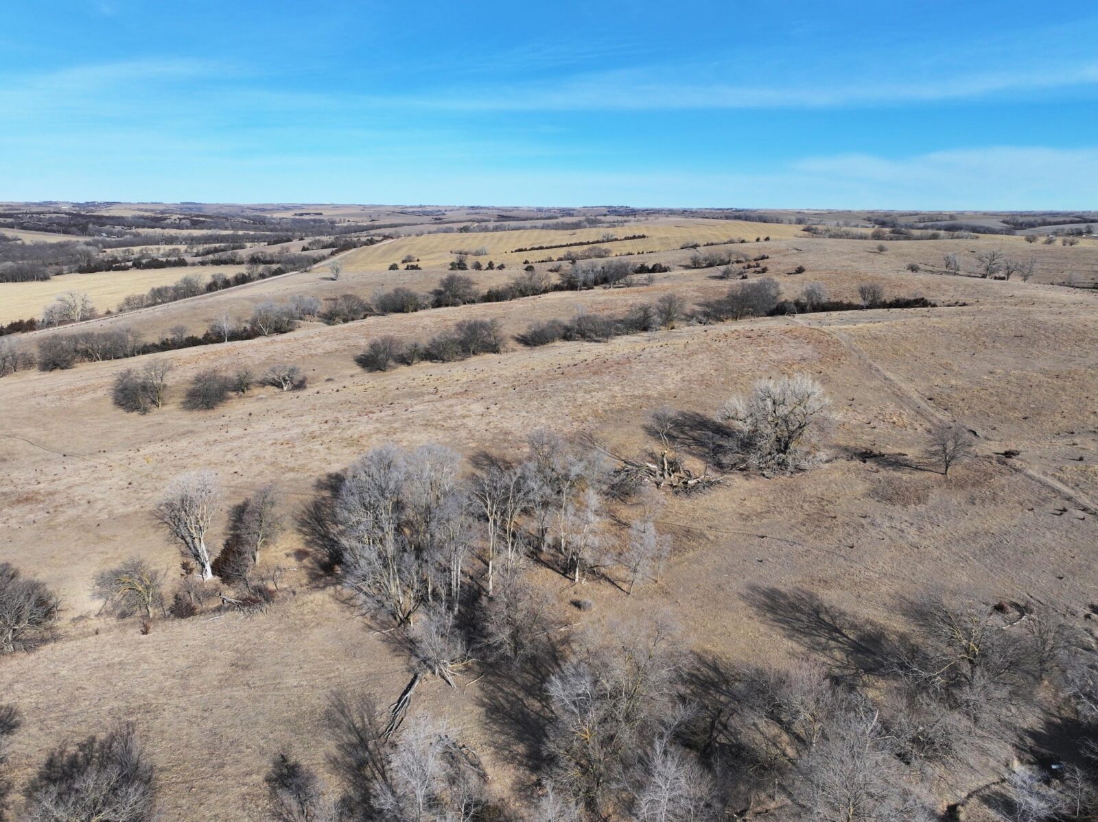Butler County Nebraska land for sale