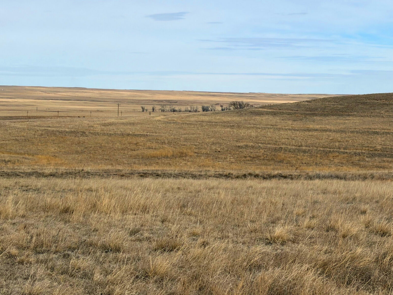 Kimball County, Nebraska land for sale