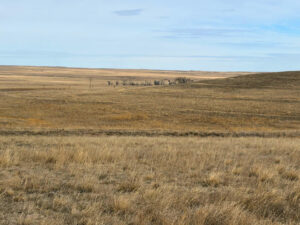 Kimball County, Nebraska land for sale