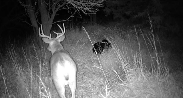 Harlan County Nebraska Farm hunting land for sale