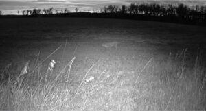 Harlan County Nebraska Farm hunting land for sale