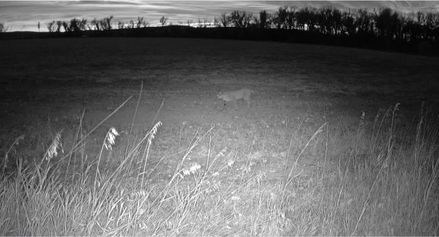 Harlan County Nebraska Farm hunting land for sale