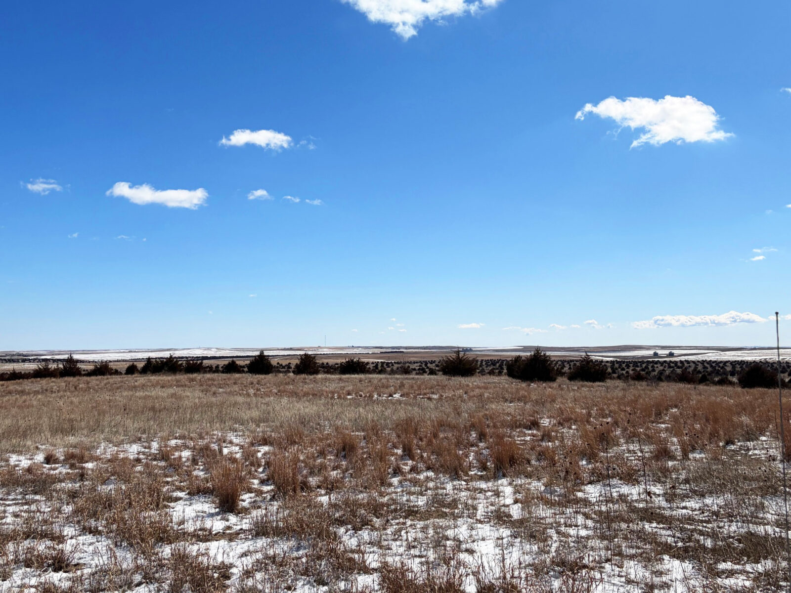 Box Butte County CRP land hunting for sale