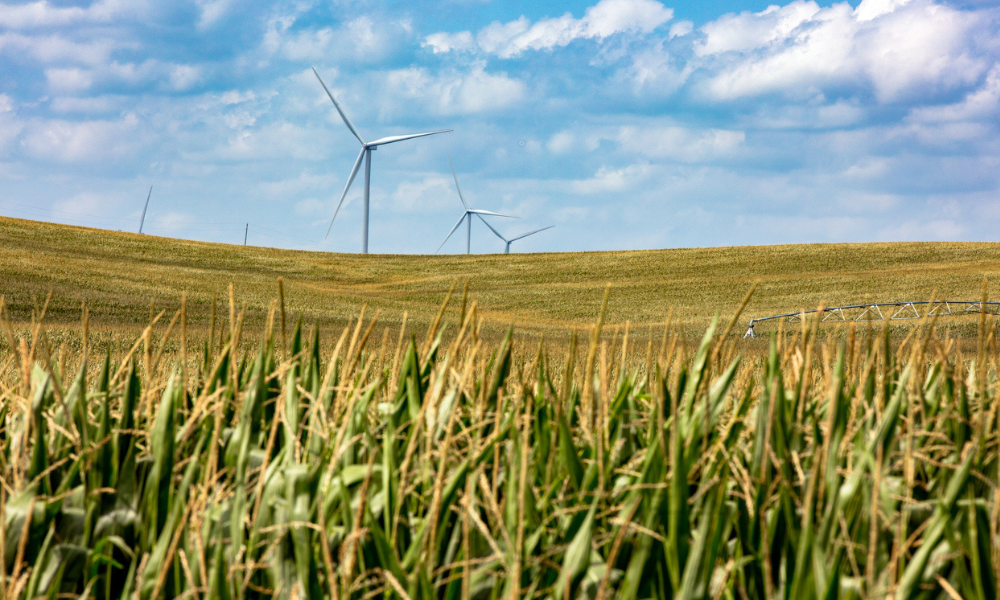 Financing Land & Home Construction: What Buyers Should Know  