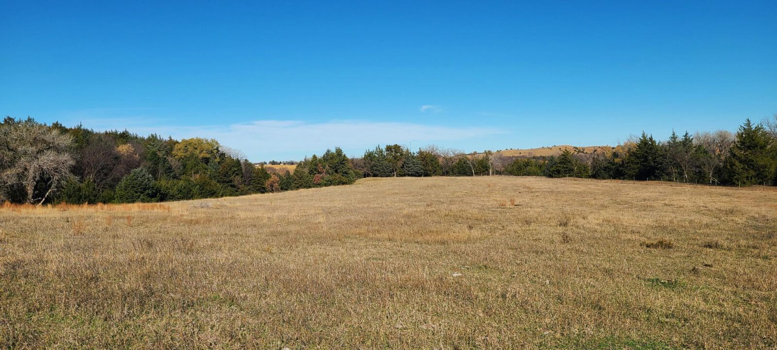 Wellfleet, Nebraska Lincoln County land for sale