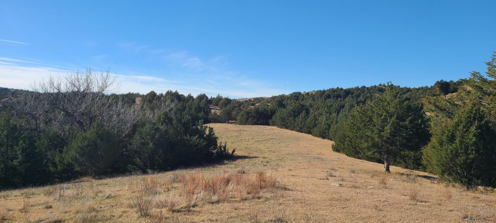 Wellfleet, Nebraska Lincoln County land for sale