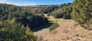 Wellfleet, Nebraska Lincoln County land for sale