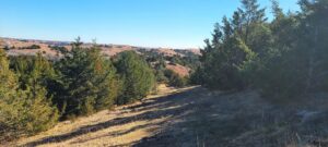 Wellfleet, Nebraska Lincoln County land for sale