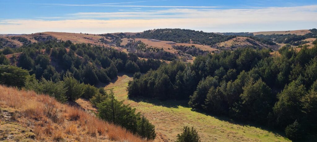 254 Acres, Lincoln County, Wellfleet Grazing and Hunting Ranch  