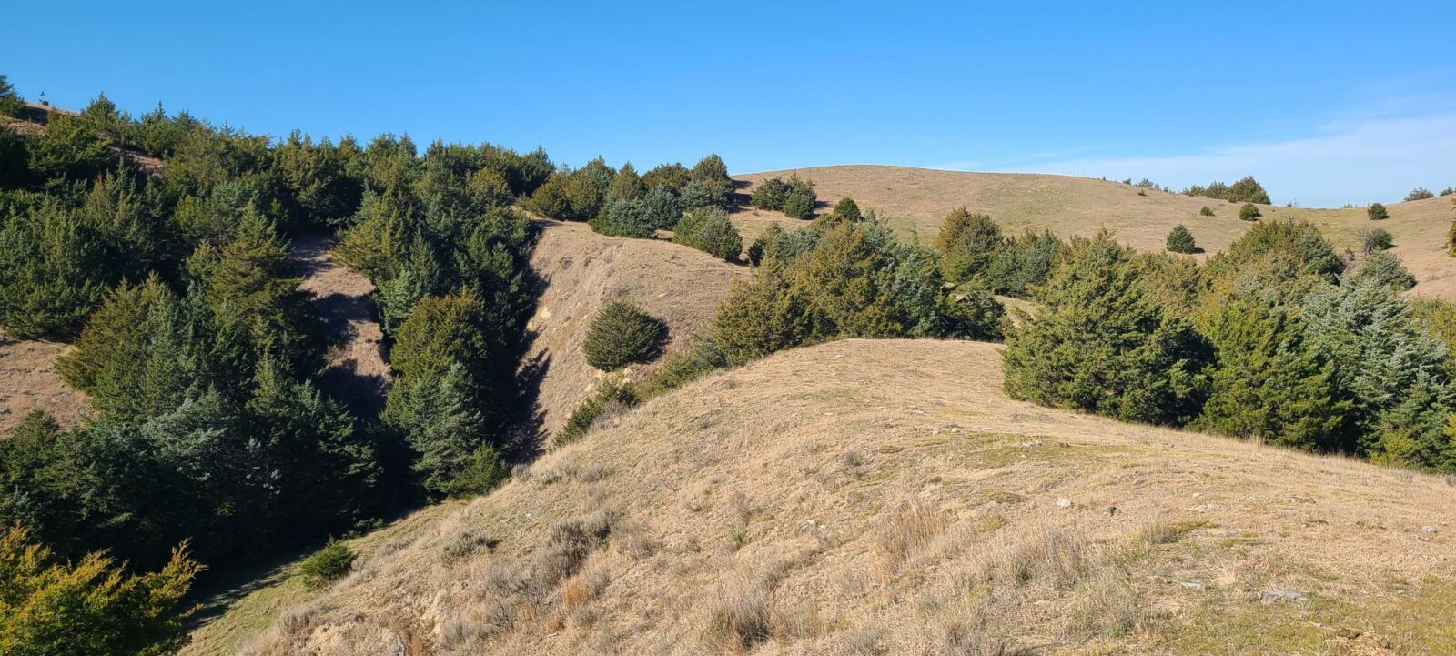 Wellfleet, Nebraska Lincoln County land for sale