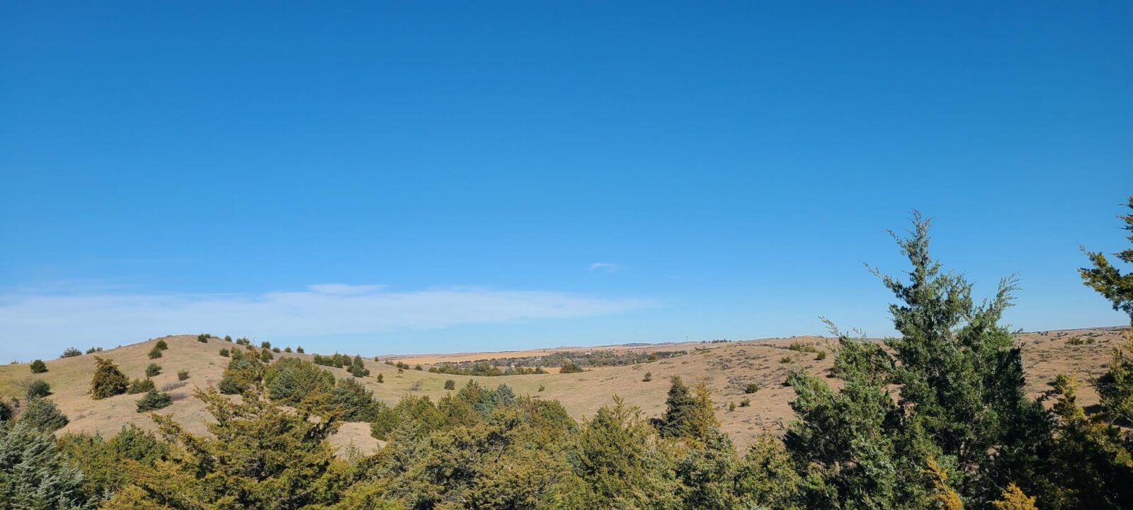 Wellfleet, Nebraska Lincoln County land for sale