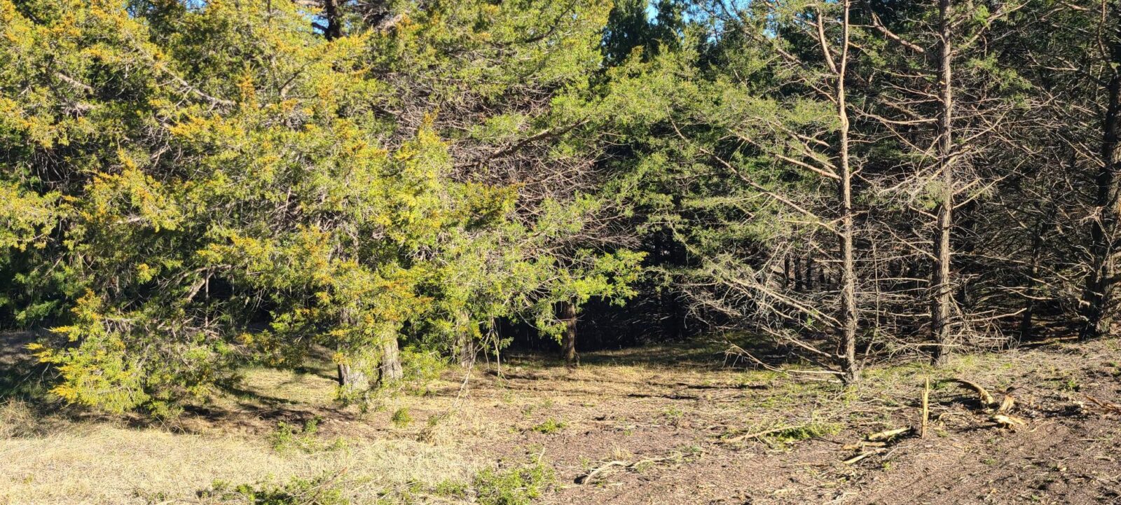 Wellfleet, Nebraska Lincoln County land for sale