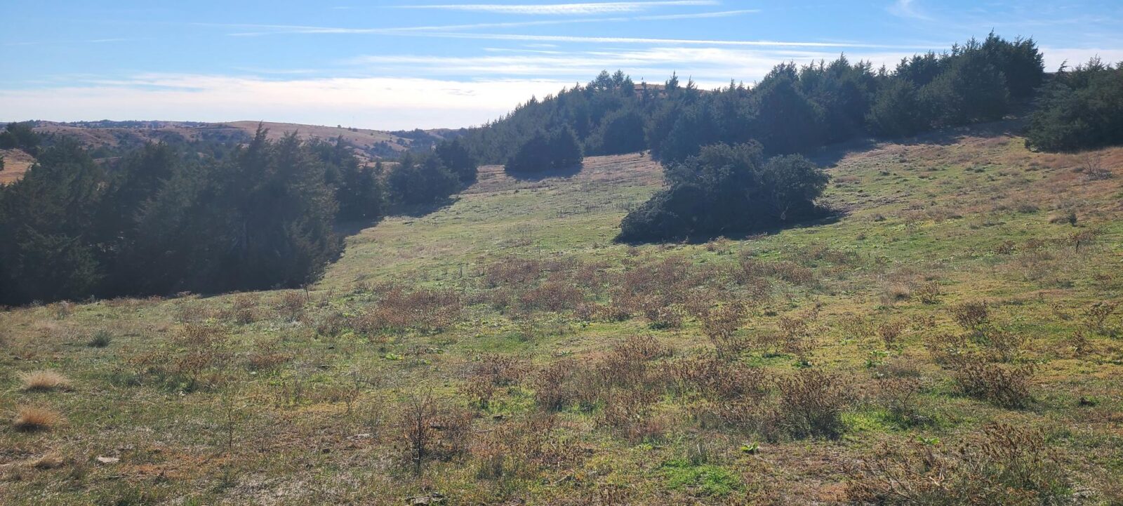 Wellfleet, Nebraska Lincoln County land for sale